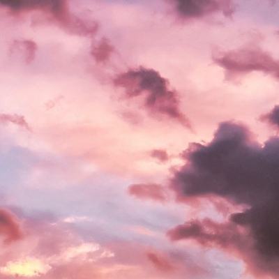 南宫28ng娱乐app下载